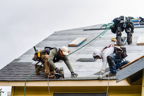 Professional Flat Roof Repair technician working in Center City, MN